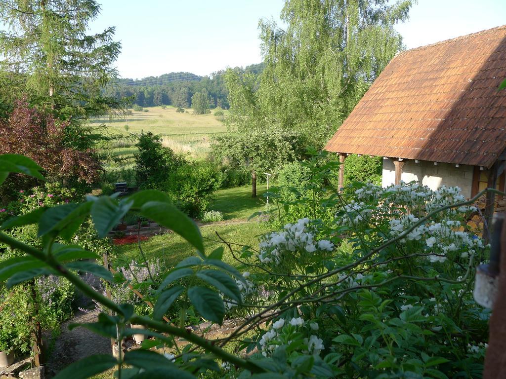 Un Gite Dans La Vallee Obersteinbach 部屋 写真