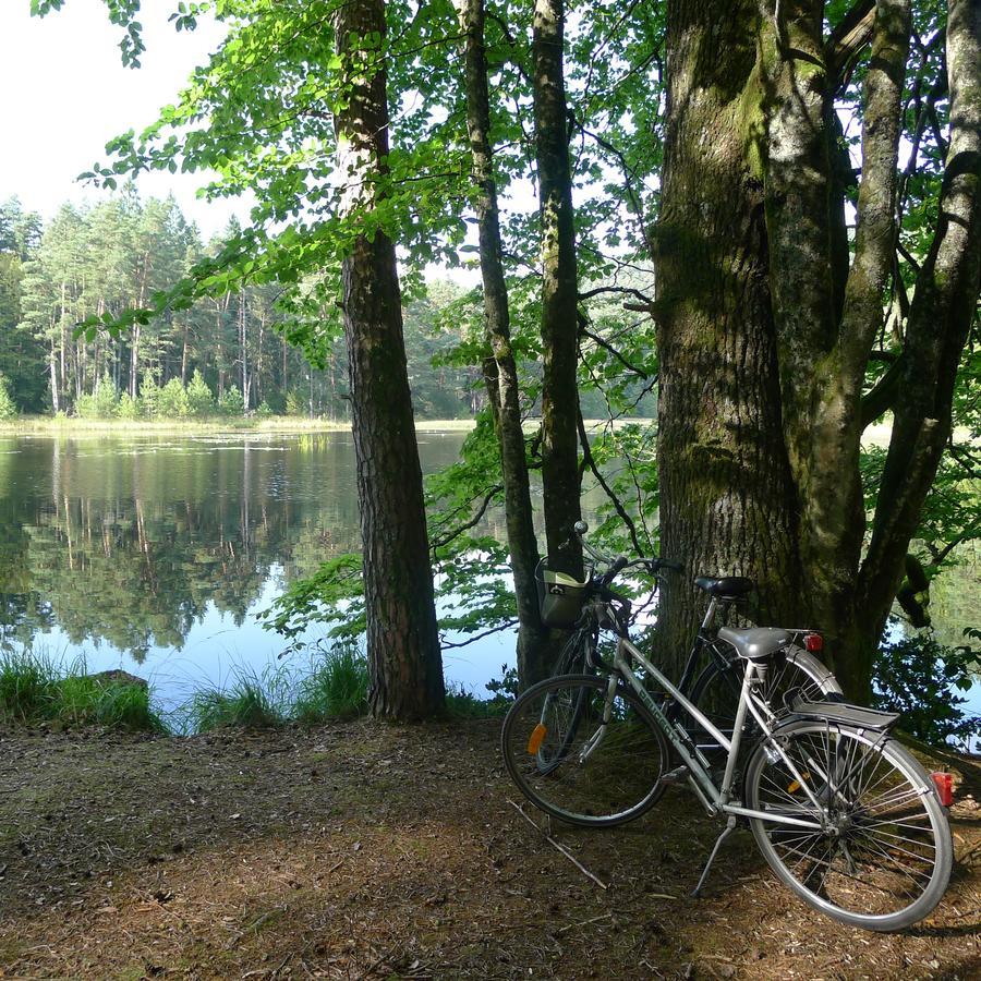 Un Gite Dans La Vallee Obersteinbach エクステリア 写真