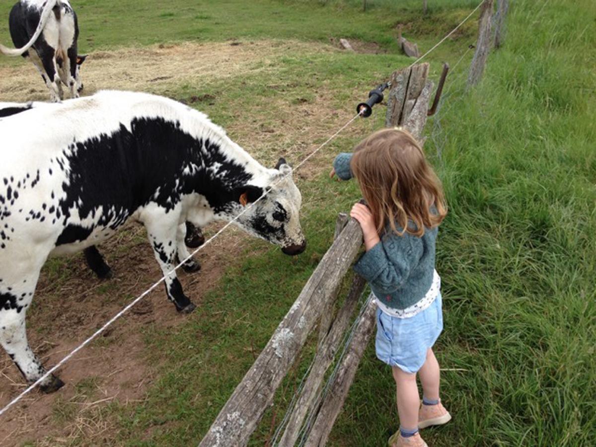Un Gite Dans La Vallee Obersteinbach エクステリア 写真