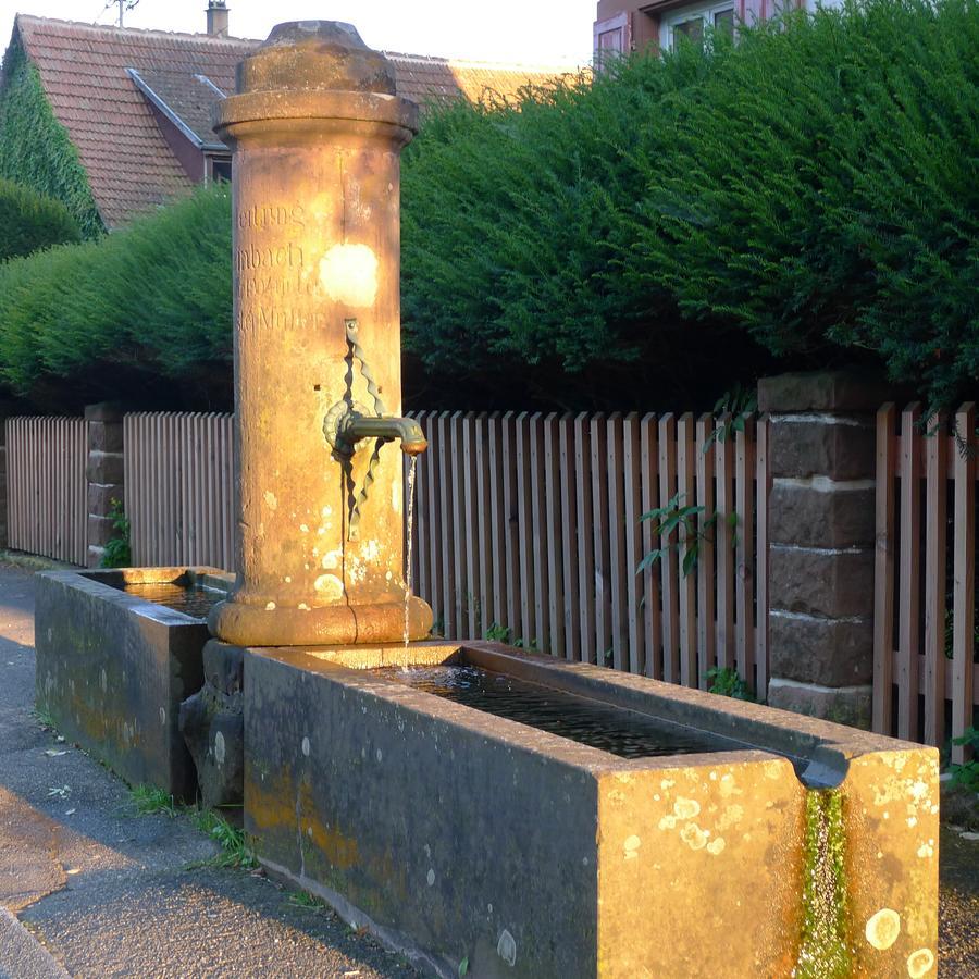 Un Gite Dans La Vallee Obersteinbach エクステリア 写真