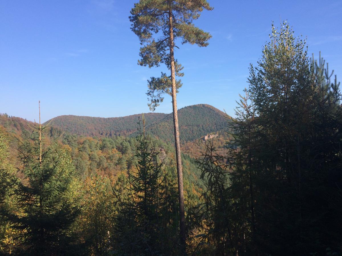 Un Gite Dans La Vallee Obersteinbach エクステリア 写真