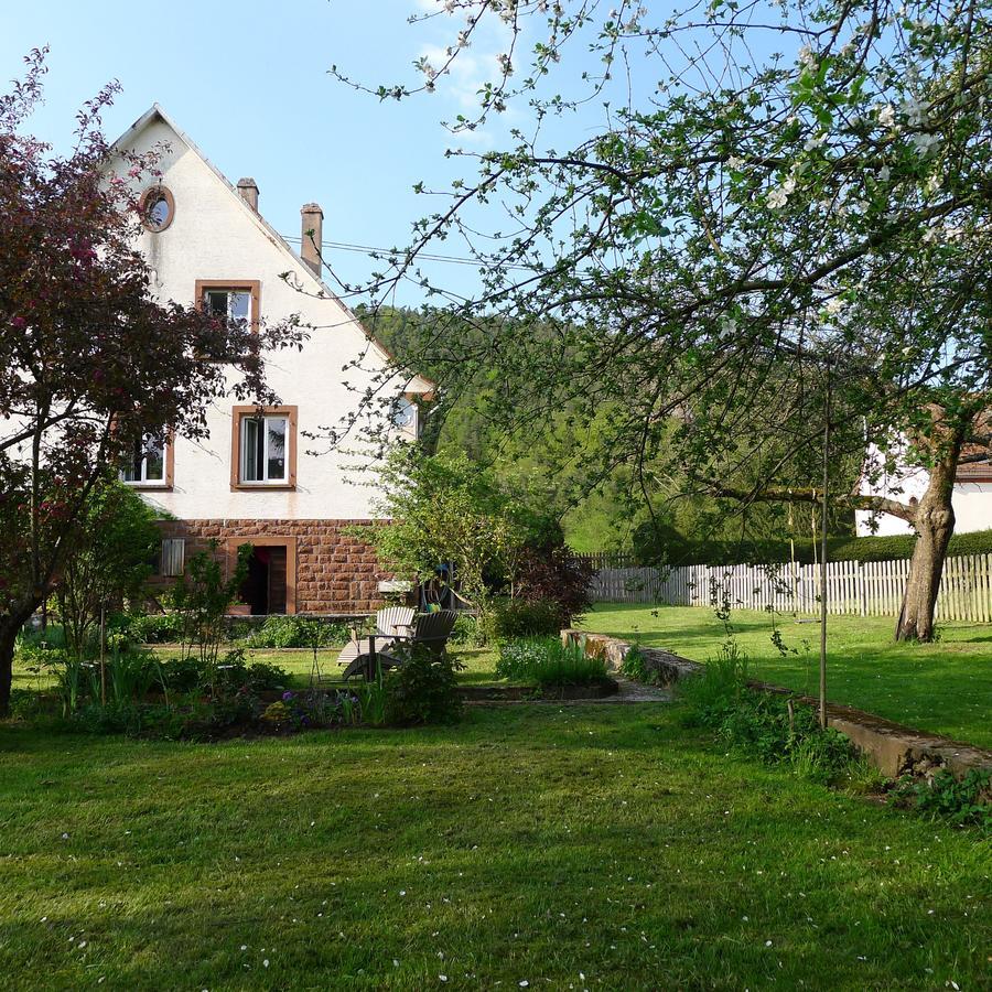 Un Gite Dans La Vallee Obersteinbach エクステリア 写真
